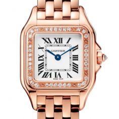 Panthere de Cartier Panthere de Cartier