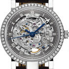 Special Edition Special Edition