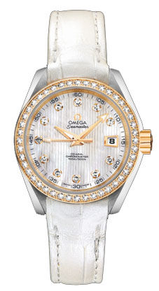 231.28.30.20.55.002 Omega Seamaster Aqua Terra