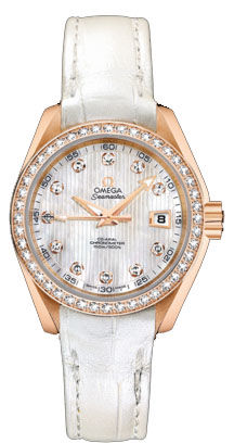 231.58.30.20.55.001 Omega Seamaster Aqua Terra