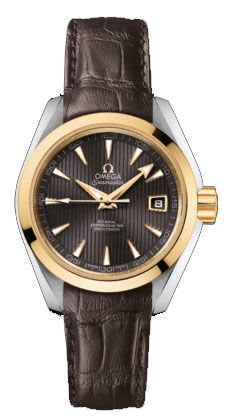 231.23.30.20.06.002 Omega Seamaster Aqua Terra