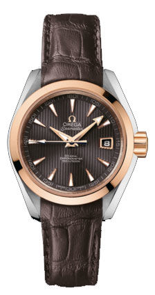 231.23.30.20.06.001 Omega Seamaster Aqua Terra