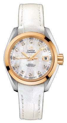 231.23.30.20.55.002 Omega Seamaster Aqua Terra