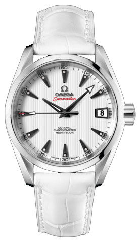 231.13.39.21.54.001 Omega Seamaster Aqua Terra