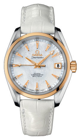 231.23.39.21.55.002 Omega Seamaster Aqua Terra