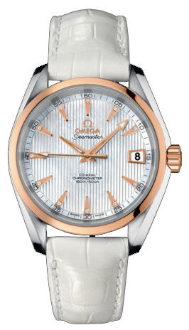 231.23.39.21.55.001 Omega Seamaster Aqua Terra