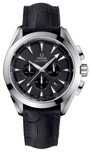 231.13.44.50.06.001 Omega Seamaster Aqua Terra