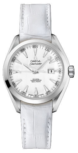 231.13.34.20.04.001 Omega Seamaster Aqua Terra