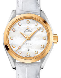 231.23.34.20.55.002 Omega Seamaster Aqua Terra