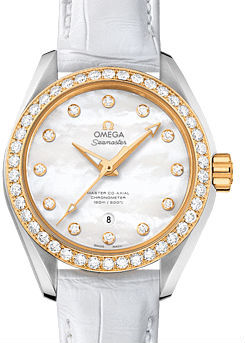 231.28.34.20.55.004 Omega Seamaster Aqua Terra