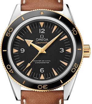 233.22.41.21.01.001 Omega Seamaster