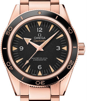 233.60.41.21.01.001 Omega Seamaster