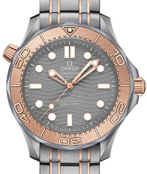 210.60.42.20.99.001 Omega Seamaster
