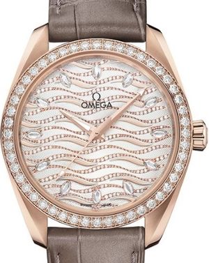 220.58.38.20.99.006 Omega Seamaster Aqua Terra