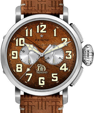 65.2430.4069/79.C811 Zenith Pilot