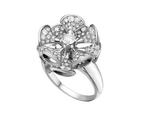 AN857079 Bvlgari Divas Dream