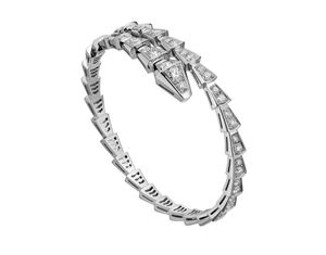 BR857492 Bvlgari Serpenti