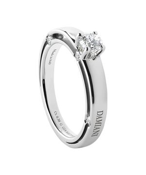 20056481 Damiani D.Side