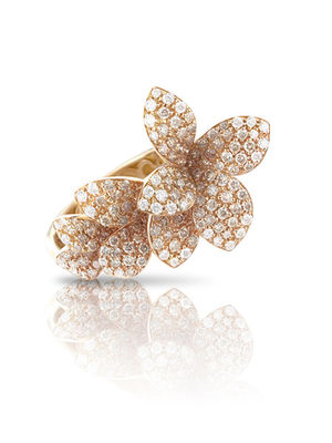 15788r Pasquale Bruni Stelle in Fiore