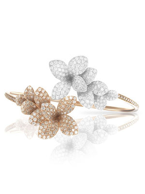 15651br Pasquale Bruni Stelle in Fiore