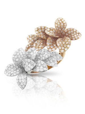 15633br Pasquale Bruni Stelle in Fiore