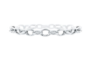 BRNSPLCOPCM Harry Winston Charms