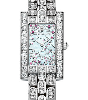 AVEQHM21WW288 Harry Winston Avenue