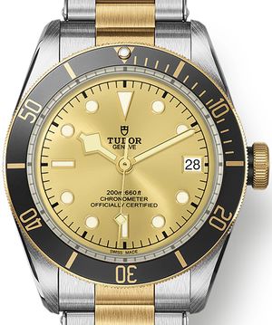 M79733N-0004 Tudor Black Bay