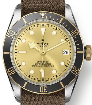 M79733N-0006 Tudor Black Bay