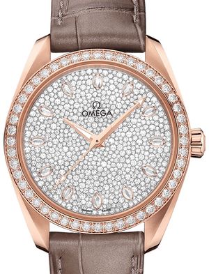 220.58.38.20.99.003 Omega Seamaster Aqua Terra