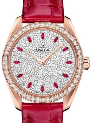 220.58.38.20.99.001 Omega Seamaster Aqua Terra