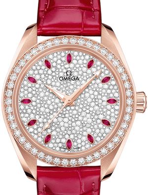 220.58.34.20.99.001 Omega Seamaster Aqua Terra