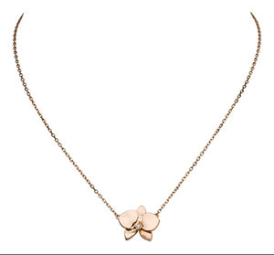 B7015500 Cartier Fauna та Flora