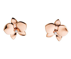 B8033100 Cartier Fauna та Flora