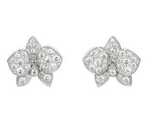 B8032200 Cartier Fauna та Flora