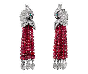 H8000127 Cartier Fauna та Flora