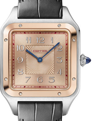 W2SA0025 Cartier Santos De Cartier