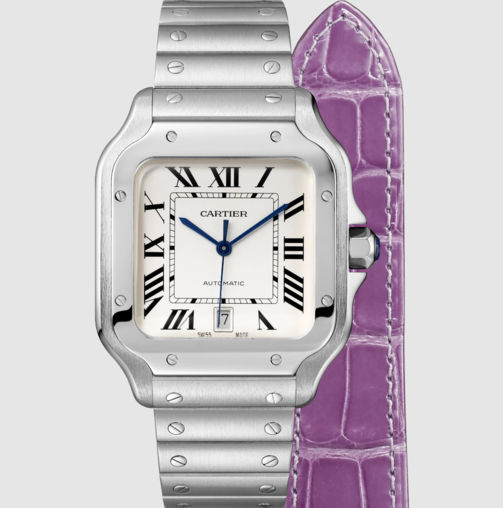 WSSA0018 Cartier Santos De Cartier