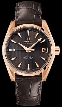 231.53.39.21.06.001 Omega Seamaster Aqua Terra