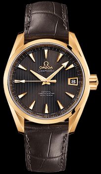 231.53.39.21.06.002 Omega Seamaster Aqua Terra