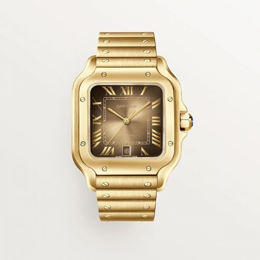 WGSA0095 Cartier Santos De Cartier