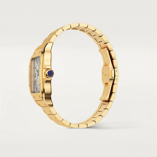 WGSA0042 Cartier Santos De Cartier