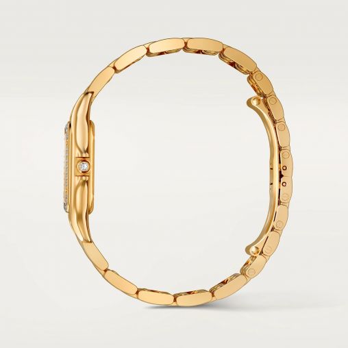 WJPN0043 Cartier Panthere de Cartier