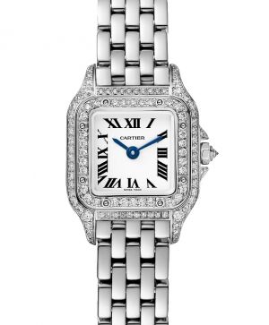 WJPN0046 Cartier Panthere de Cartier
