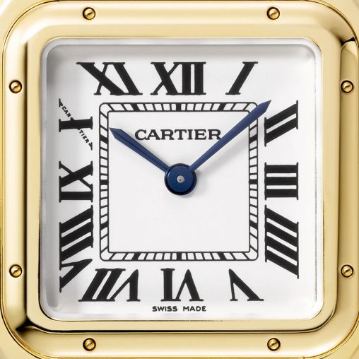 WGPN0038 Cartier Panthere de Cartier