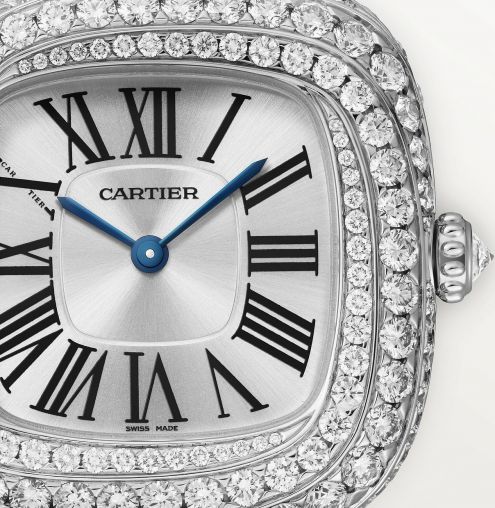 WJCS0003 Cartier 