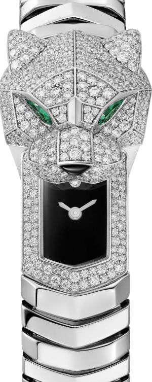 HPI01636 Cartier Panthere de Cartier