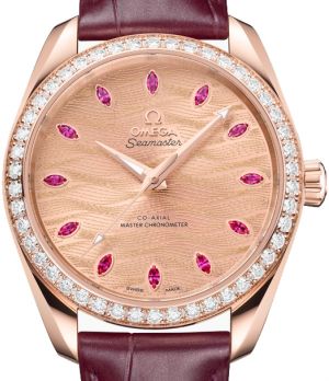 220.58.38.20.99.007 Omega Seamaster Aqua Terra