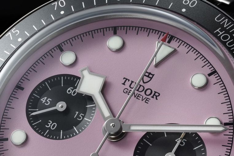 M79360N-0019 Tudor Black Bay