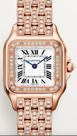 WJPN0061 Cartier Panthere de Cartier
